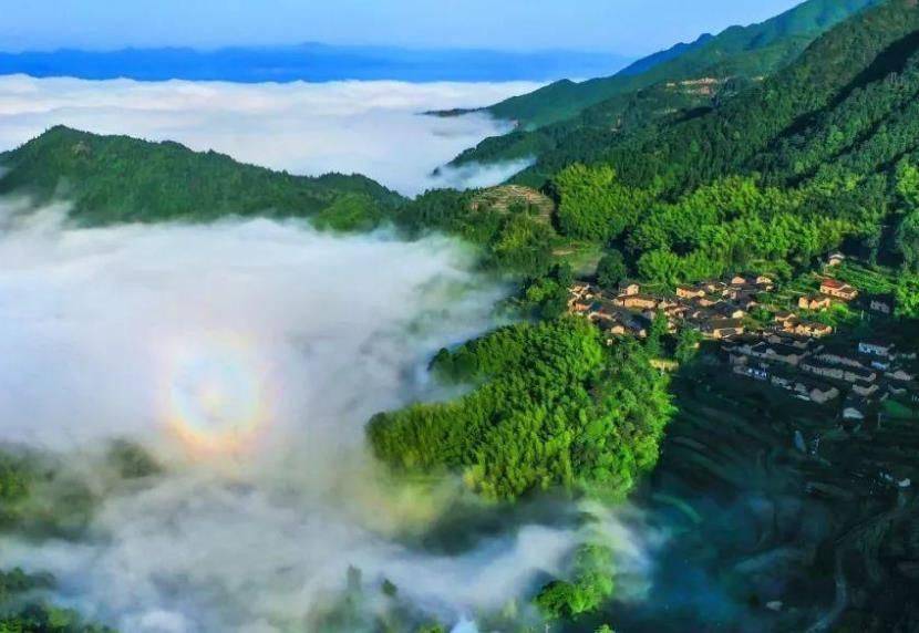 浙江一个秀美的"森林城市",它的原生态环境让人向往,你去过吗