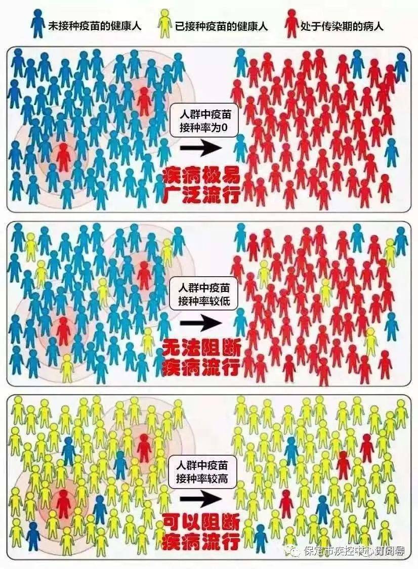 【高阳妇幼健康科普】 接种新冠疫苗 共筑全民免疫屏障