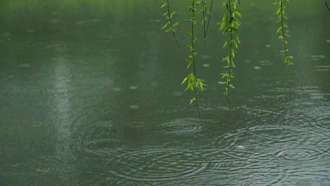 清明时节雨纷纷_春雨