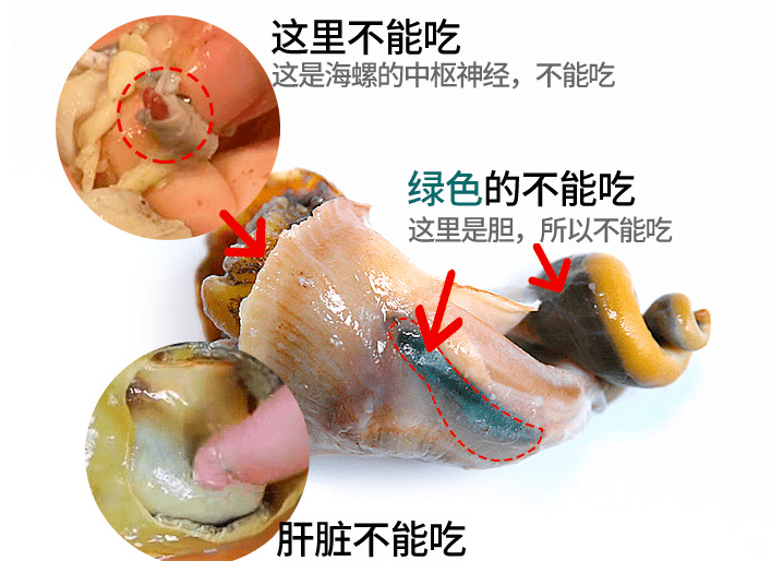 春天的海螺正肥美,牢记"3个部位"不要吃,吃得放心又健康