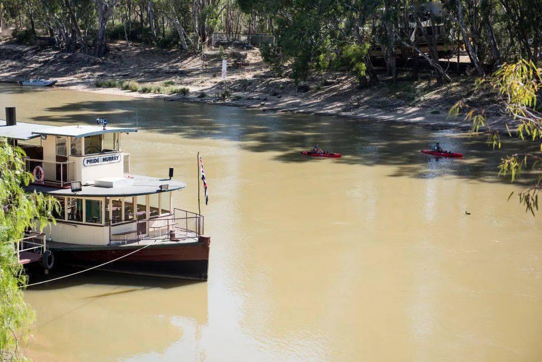 图 /  visit victoria 第06站 跳上古老的蒸汽河船 murray river, vic