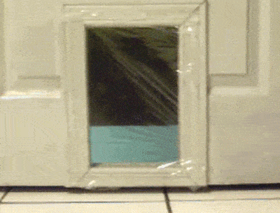 gif搞笑趣图:看大哥的表情,这一定非常美味