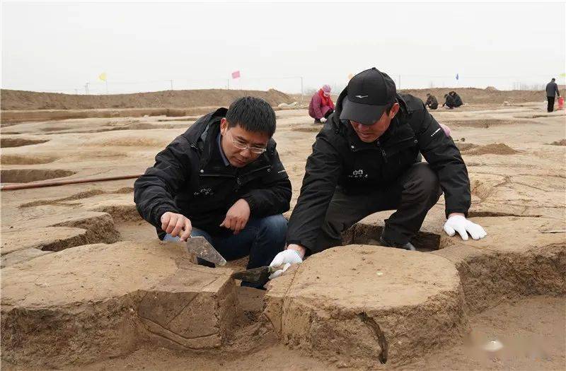 入围终评项目河南淮阳时庄遗址