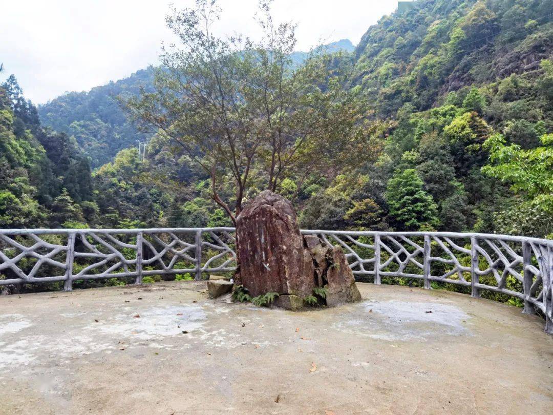 苍南莒溪大峡谷观光栈道春日美照抢鲜看