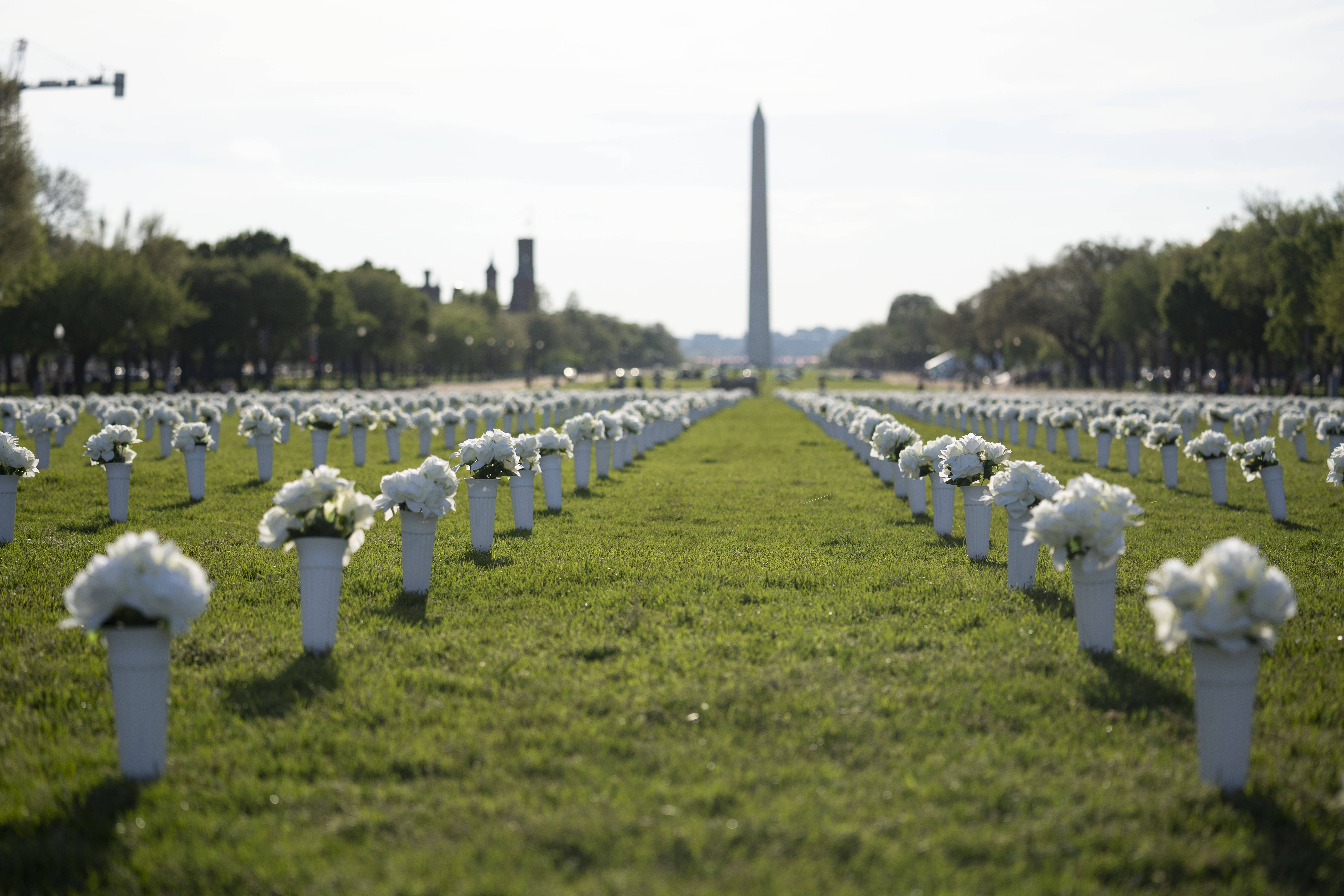 华盛顿:四万绢花纪念枪击遇难者