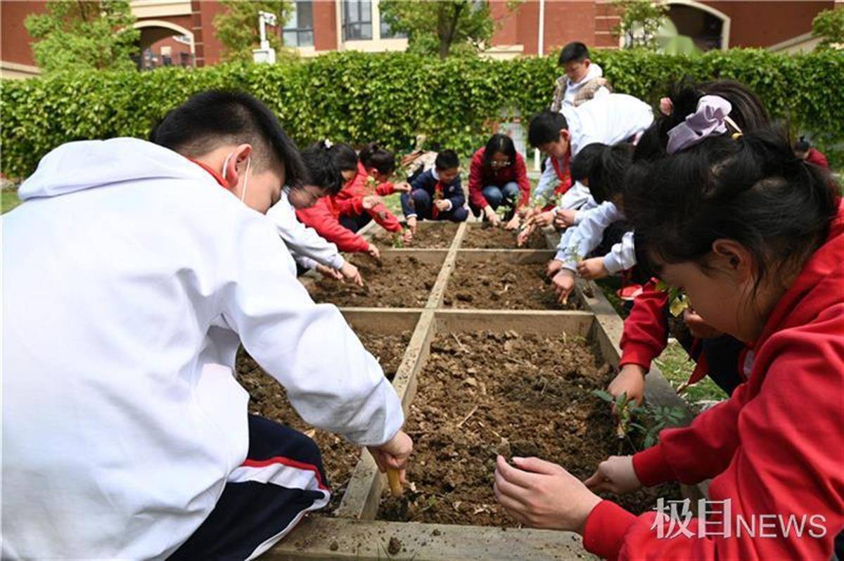 小学生走进大棚,开展项目研学_种植