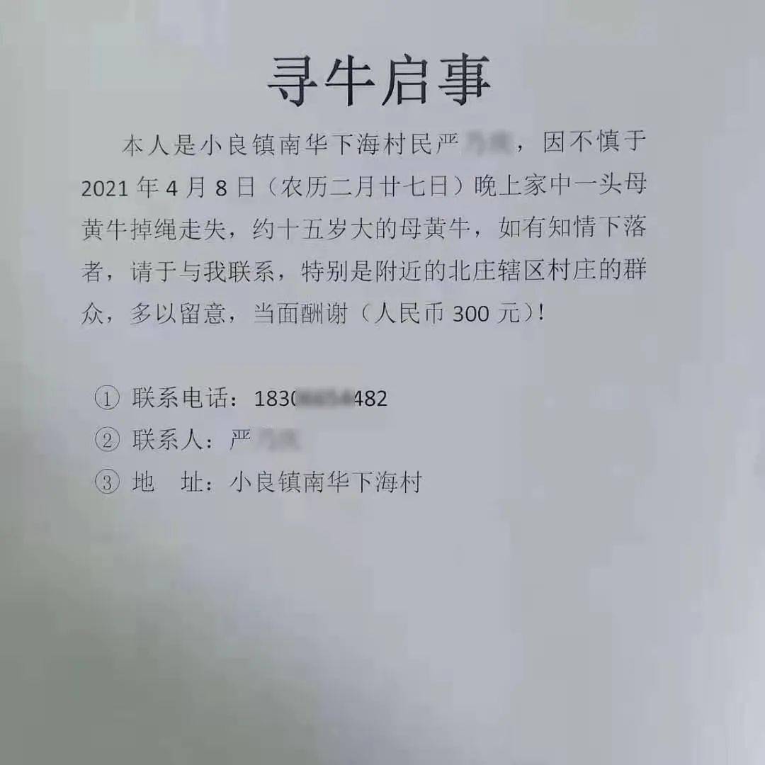 有村干部于4月9日中午时分在镇村微信工作交流群发布过"寻牛启事"信息