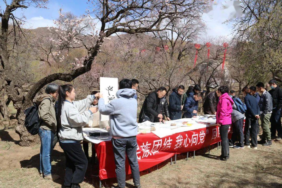 呼和浩特乌素图杏花节开幕啦,游玩攻略来了!