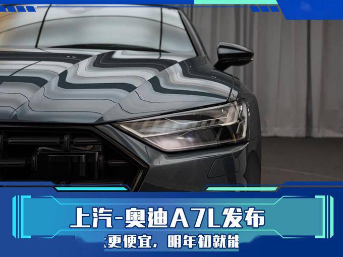 前脸采用了奥迪家族标志性的设计风格,配备了大尺寸六边形进气格栅,前