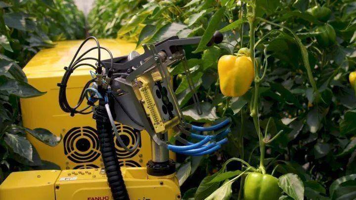 海外农业聚焦日本开发水果采摘机器人果园无人化运营