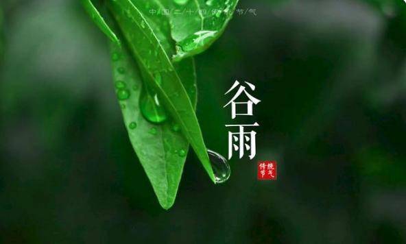 二十四节气:谷雨到