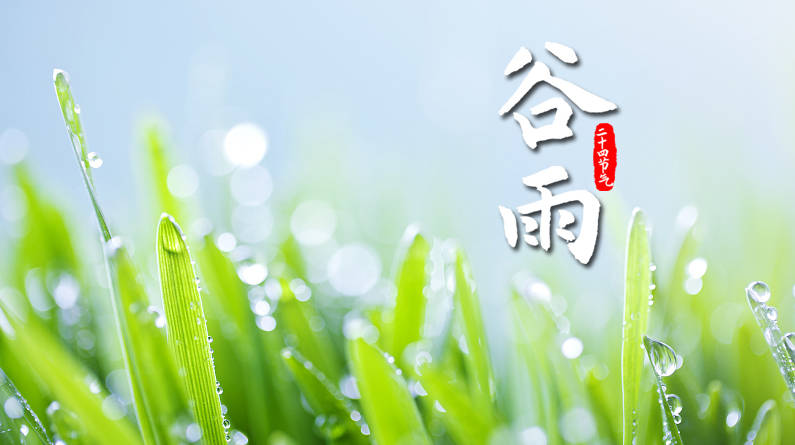 谷雨丨谷得雨而生 夏天要醒了