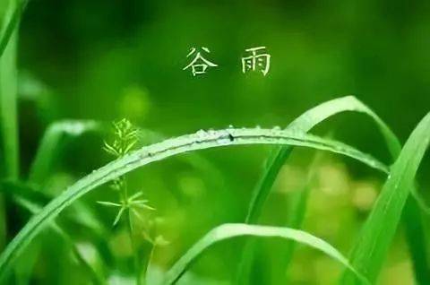 走进谷雨,走向风调雨顺