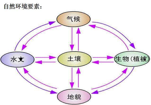 【专题整理】高考地理整体性各要素关联分析