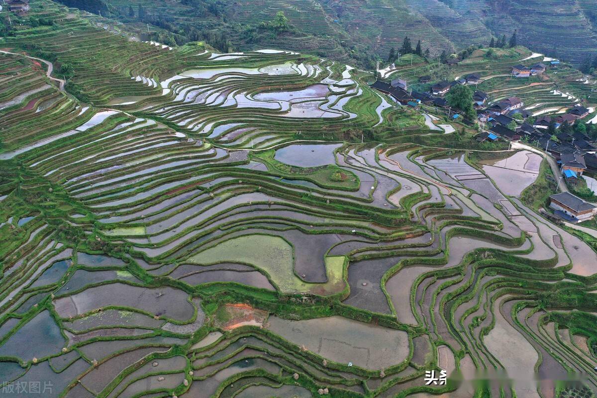 贵州从江:雾罩梯田入画来
