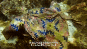 280_158gif 动态图 动图