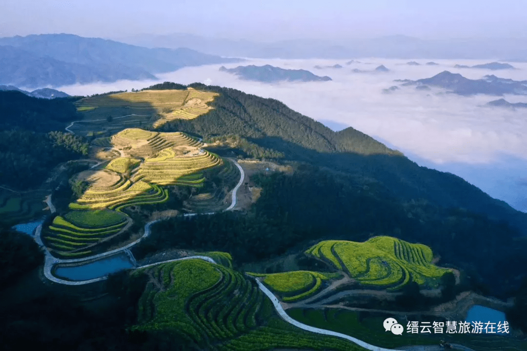 浙江缙云:成功举办""缙"情欢畅·星耀南乡"旅游招商推介会