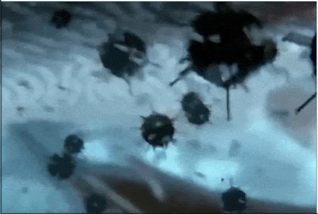 在这项新的研究中,他们使用了相同的粒子,但将单珠尖峰换成了三珠尖峰