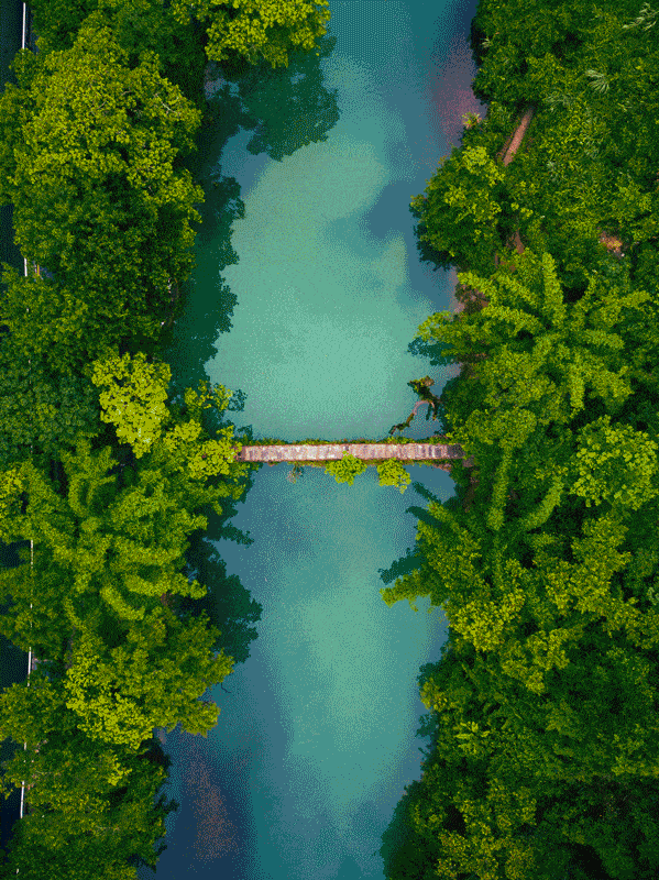 599_800 竖版 竖屏