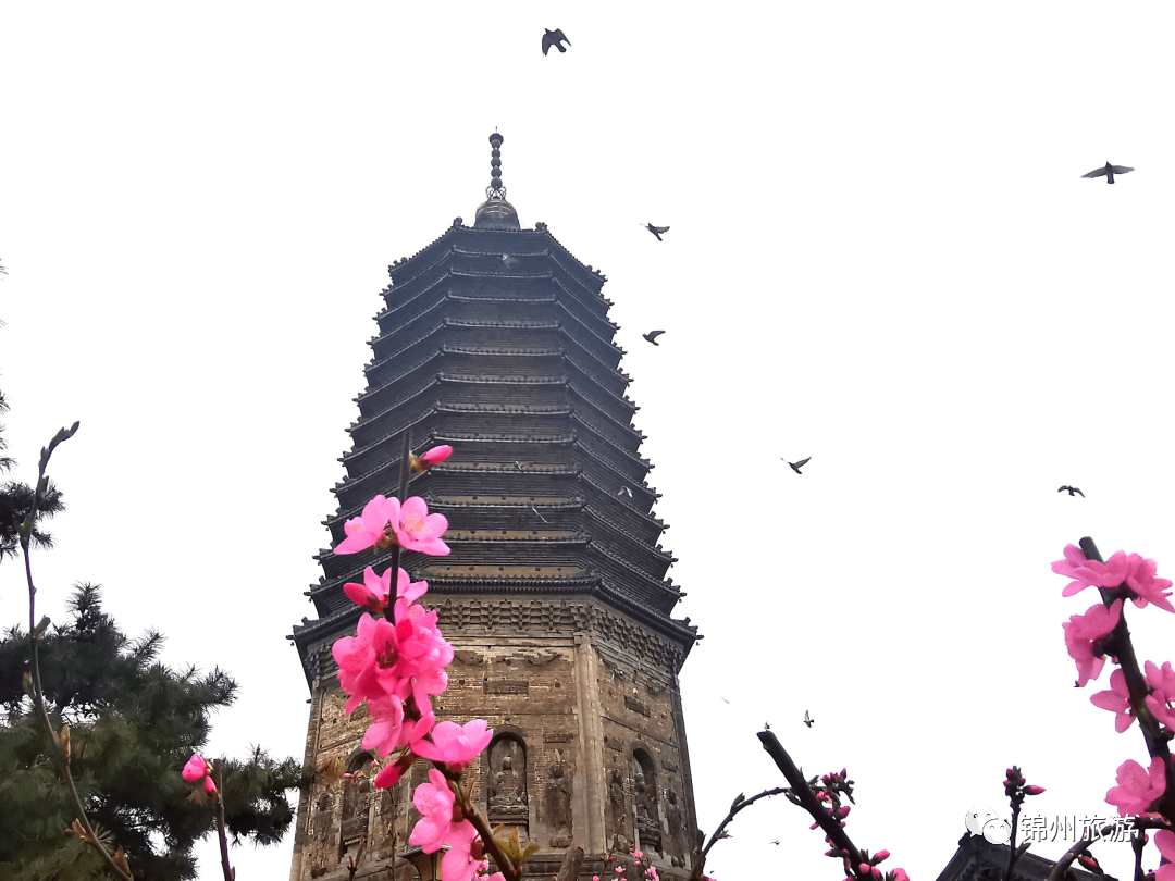 游英雄之城,赏山海风光 锦州市推出十条春季文化旅游精品线路