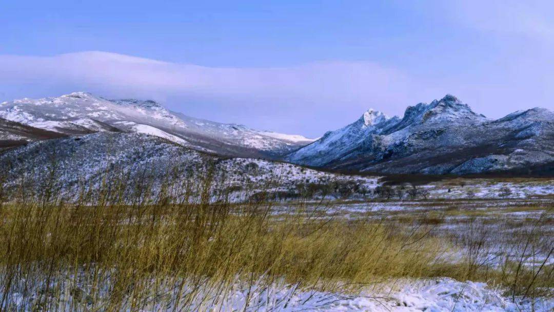 这场春雪让突泉县老头山的山川,树木穿上了洁白的银装.