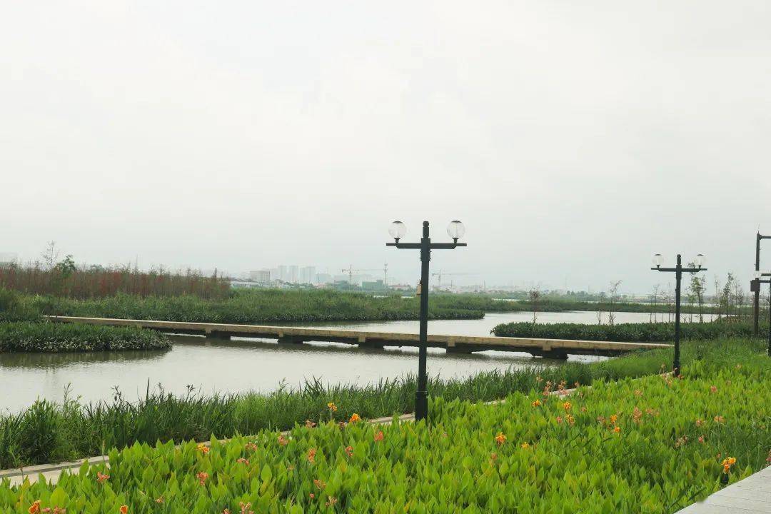 黄杨河湿地公园