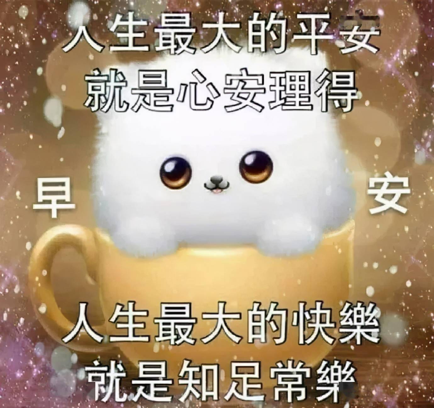 走该走的路,见想见的人,祝你今天有个好心情,早安_人生