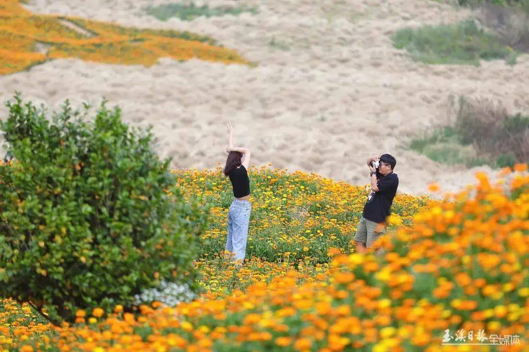 五一去哪儿丨徜徉滇中植物园和漫步梁王山杜鹃花海你怎么选