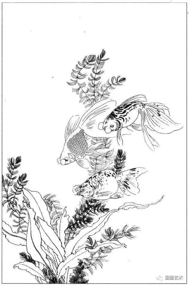 花鸟鱼虫白描画谱分享