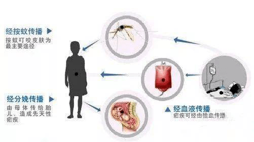 全国疟疾日 | 预防疟疾,这些知识要记牢!