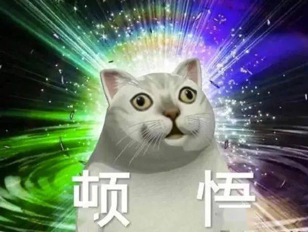 好家伙我不禁陷入沉思看到这个名字你猜对了吗?