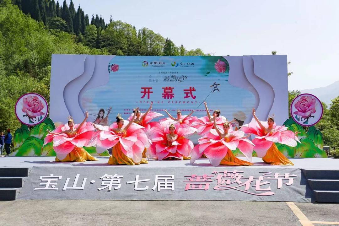 彭州宝山蔷薇花节启动 送你漫山遍野的美丽