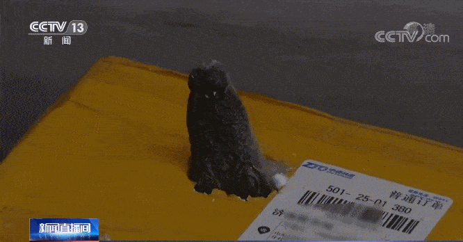 扩散!偷寄这个住进icu!这些东西千万不能邮寄!