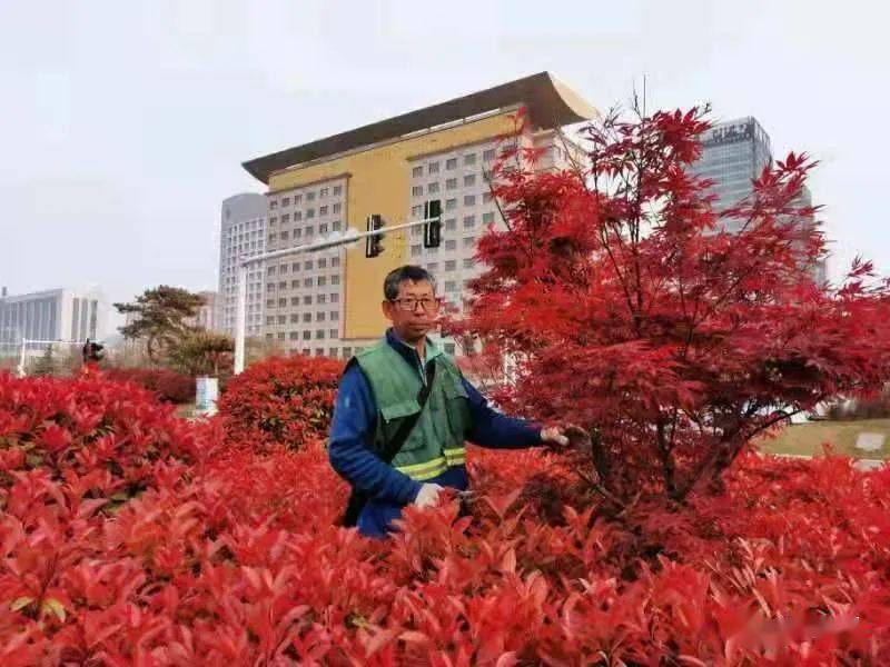 记者 耿继军 通讯员 建晓博 5月1日,安阳园林中心道路绿化管理站360余