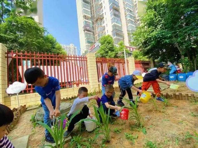 宝贝,你爱劳动的样子真好看!_幼儿园