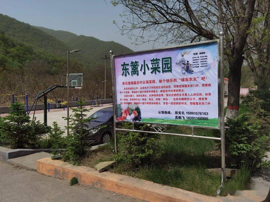 走种菜去石堡镇磊庄村东篱小菜园上线啦