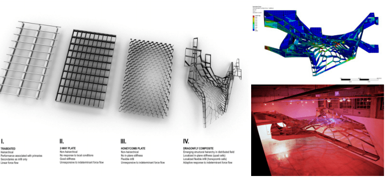 理论研究丨壳体建筑微结构仿生的桁膜复合结构原型研究