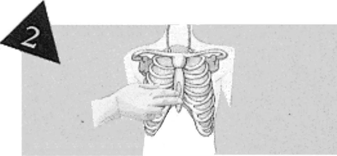 将中指置于心窝处,食指紧靠中指,置于胸骨上定位.