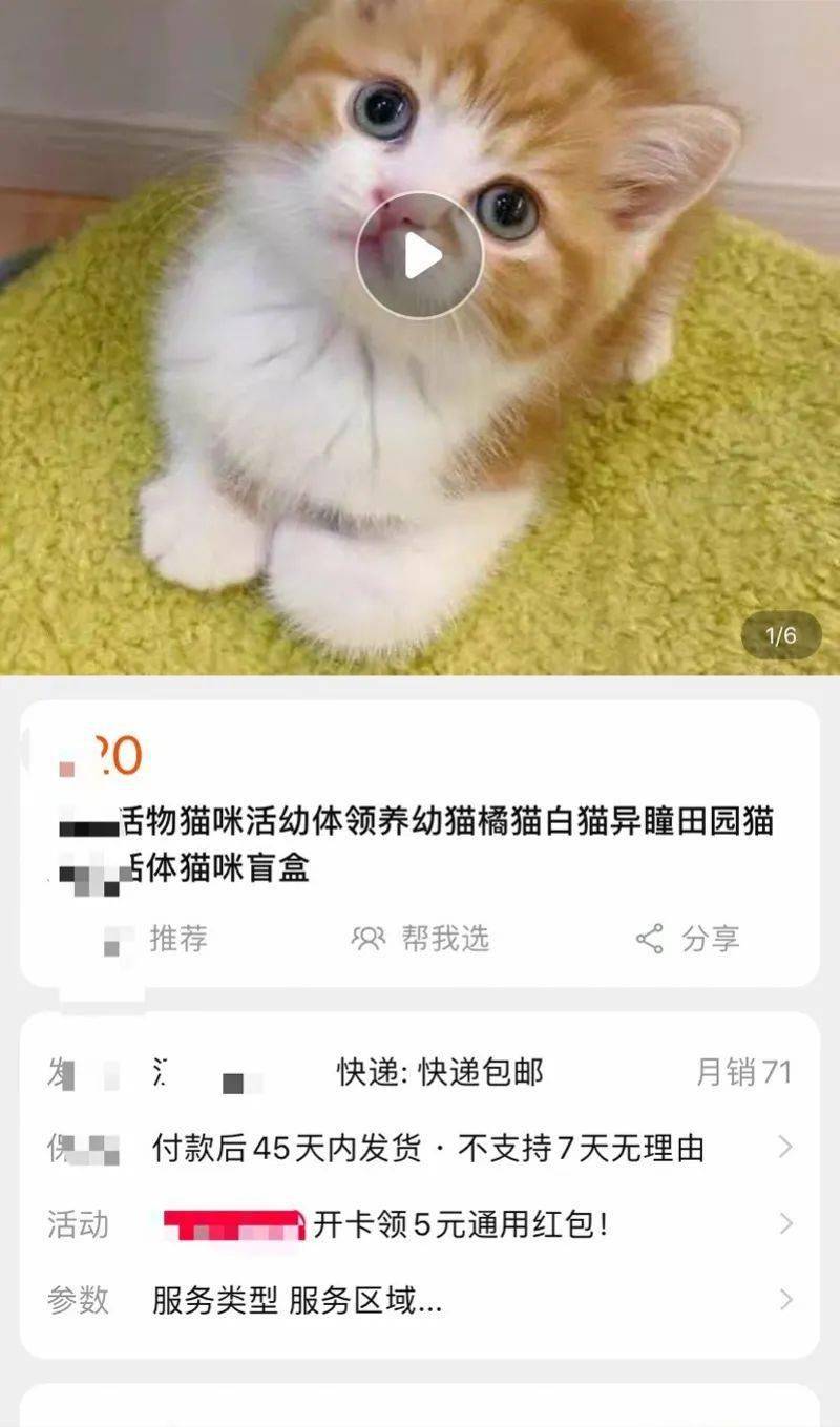 宠物盲盒背后太可怕,立案调查