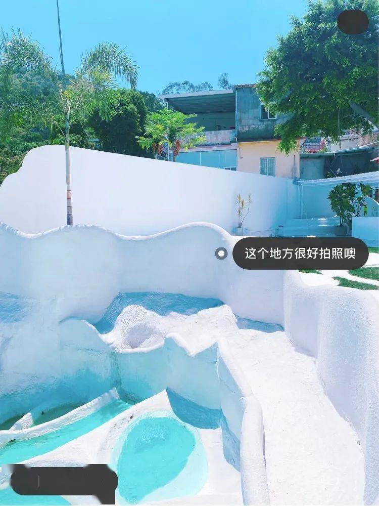 厦门网红民宿遭曝光!排泄物遍地,泳池漂虫尸.