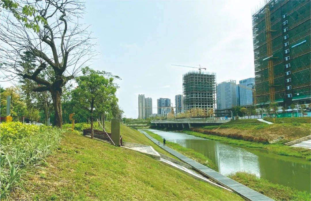 水清,岸绿,景美,人谐!看坪山治水攻坚答卷!_深圳市