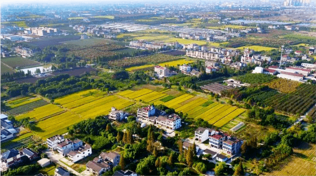 海宁市:周王庙镇海盐县:通元镇平湖市:广陈镇,林埭镇嘉善县:大云镇秀