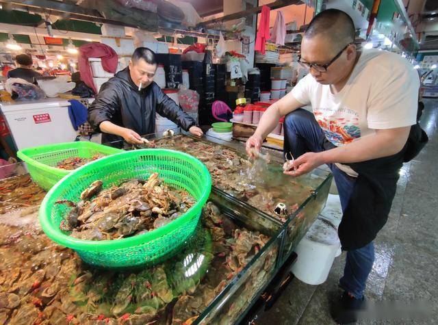 梭子蟹75一斤满满肥,休渔期打卡青岛海鲜市场,种类丰富价格多样