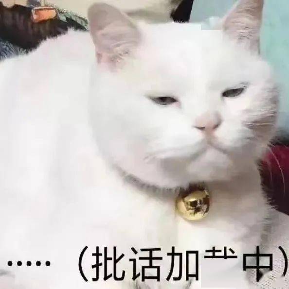 抖音表情包潮图