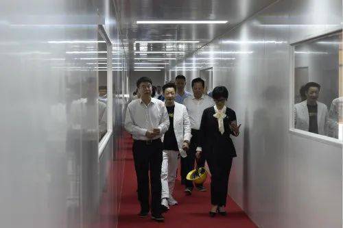 孙晓南调研高性能材料产业链