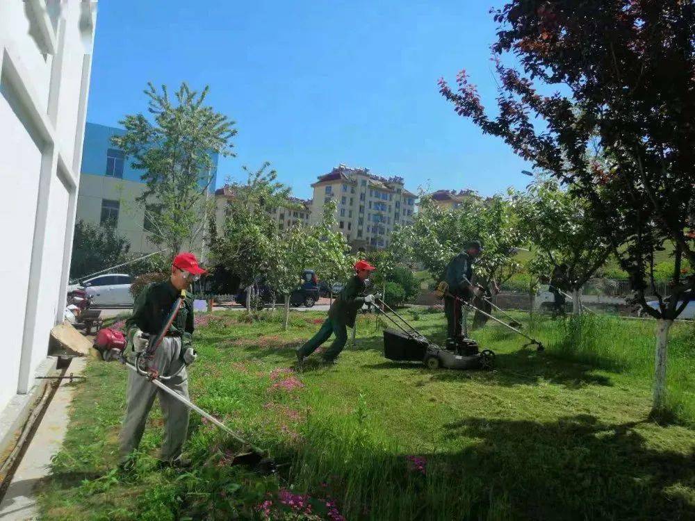 迎接国家卫生城市复审,西苑物业冲锋在前(一)