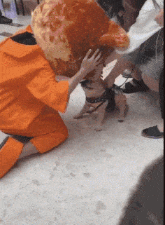 精选内涵段子 1.