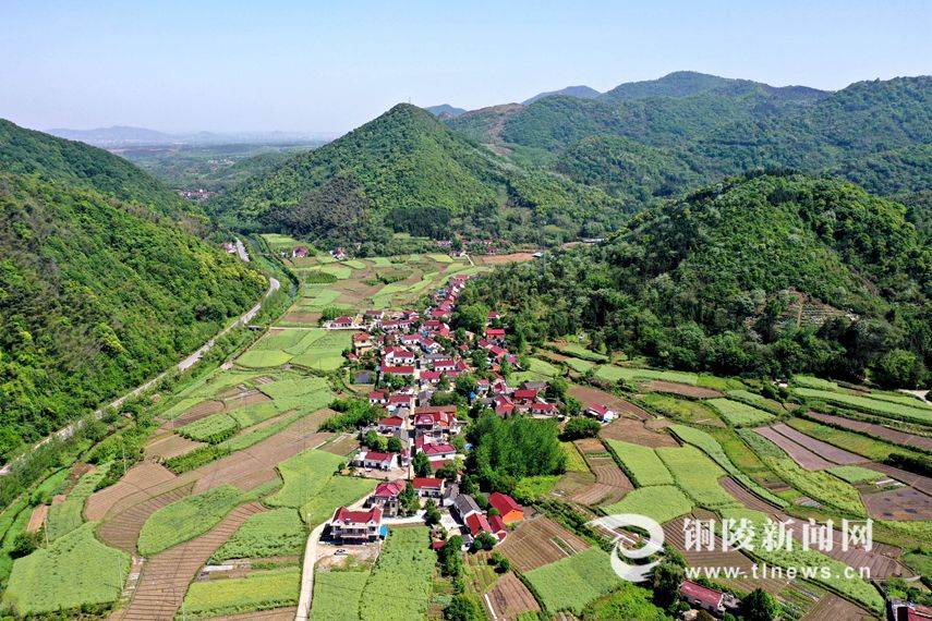 近年来,铜陵市全力推进美丽乡村建设,改善农村人居环境,打造出一批"