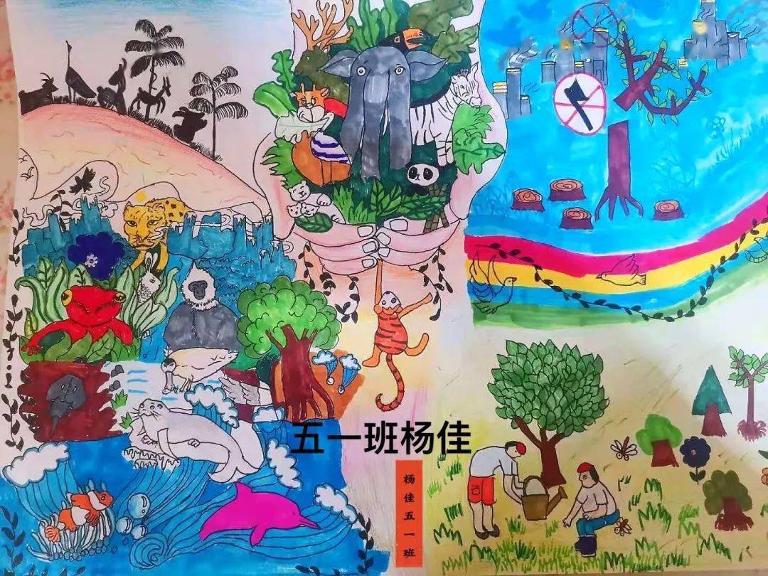 生物多样性我眼中的生物多样性主题绘画精品展商丘篇