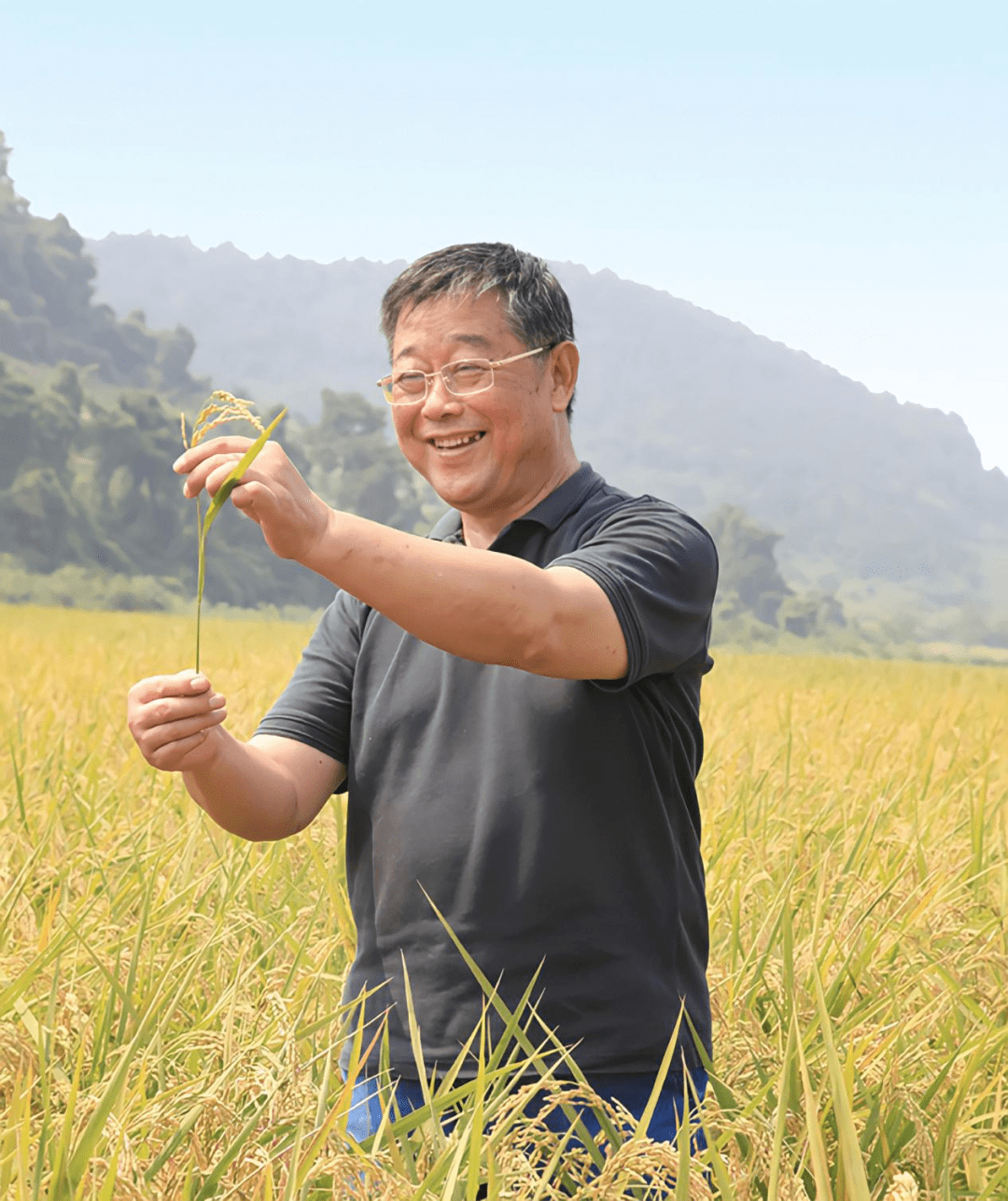 村校牵手兴农育人亚夫精神薪火相传镇江实验学校小桶水稻种植实践活动